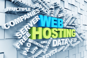 diferencia entre hosting y dominio